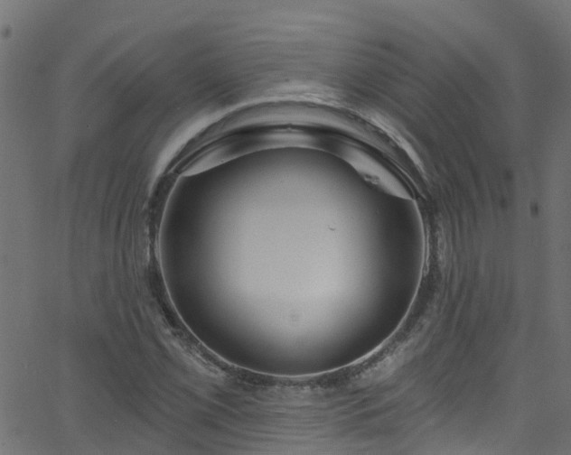 X0000068771069200605011021