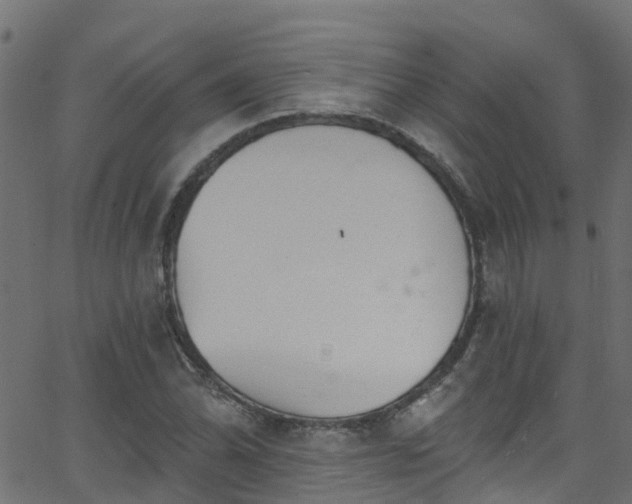 X0000068771070200605011021