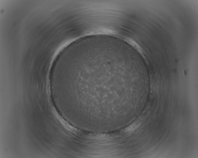 X0000068771072200605011021