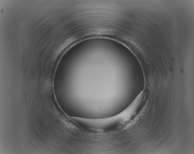 X0000068771073200605011021