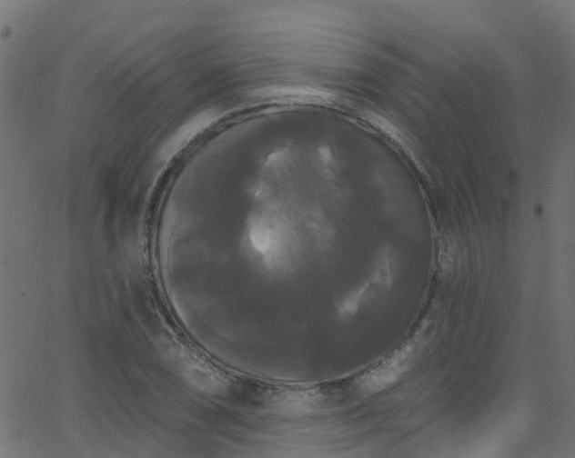 X0000068771074200605011021