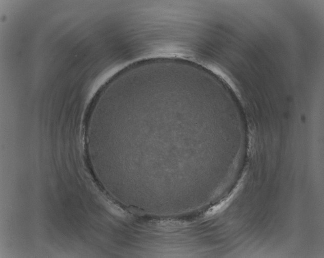 X0000068771077200605011021