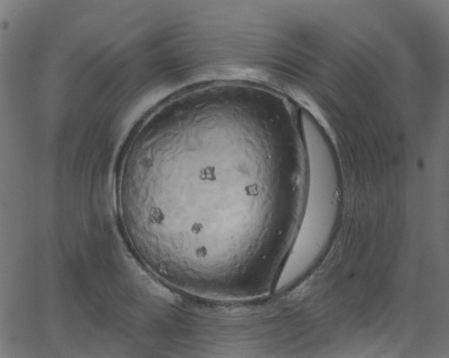 X0000068771080200605011021