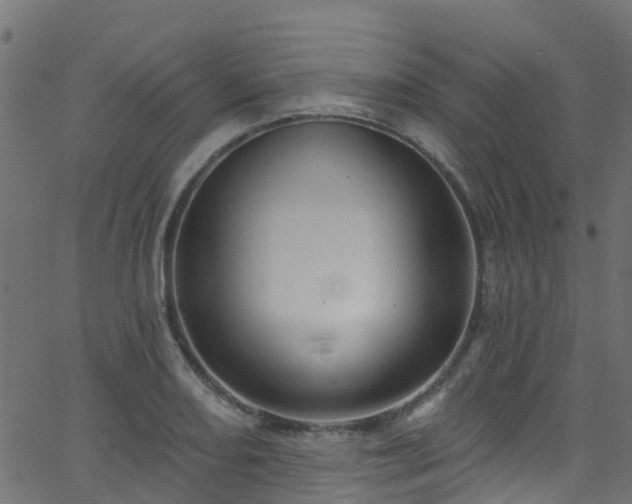 X0000068771082200605011021