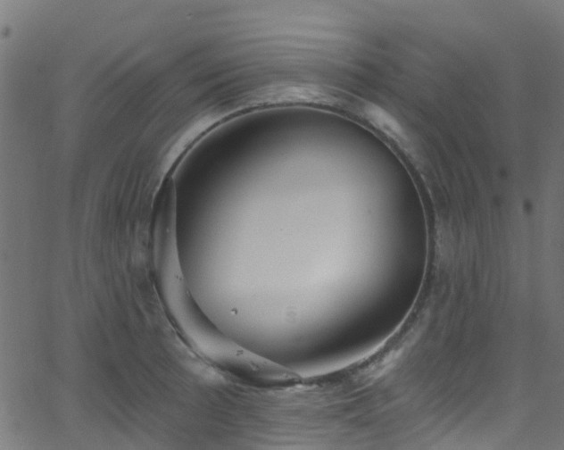 X0000068771089200605011021