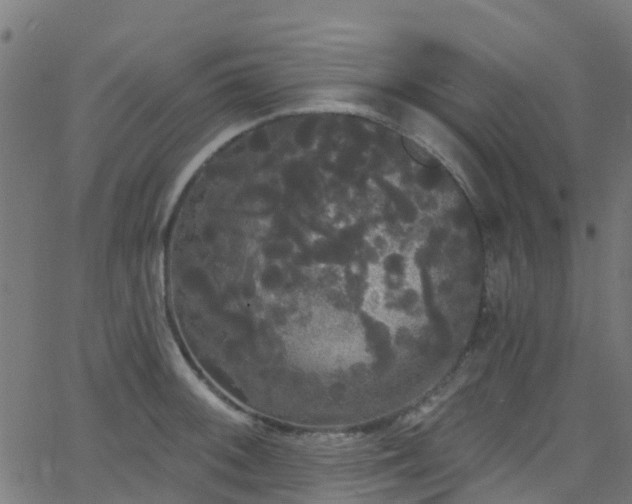 X0000068771092200605011021