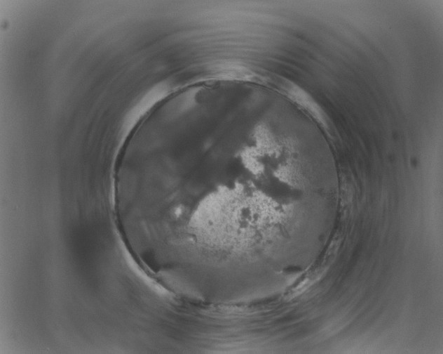 X0000068771095200605011021