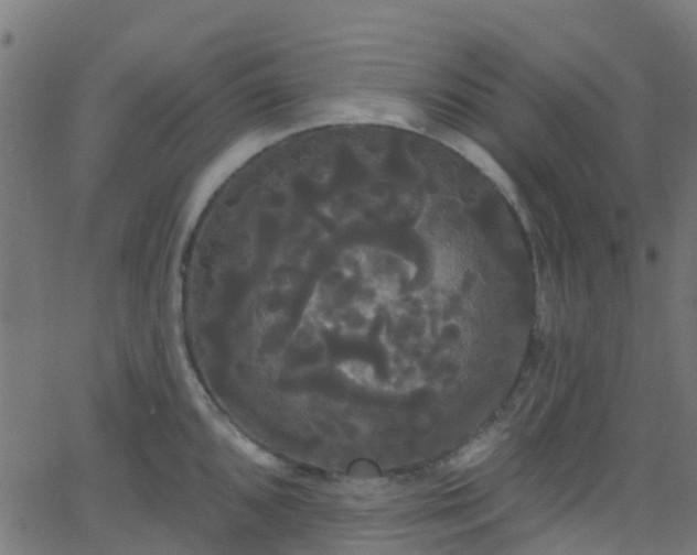 X0000068771096200605011021