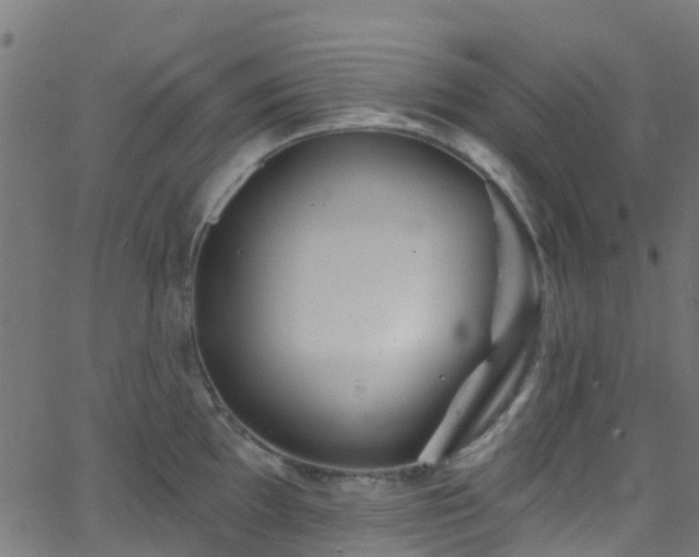 X0000068771097200605011021