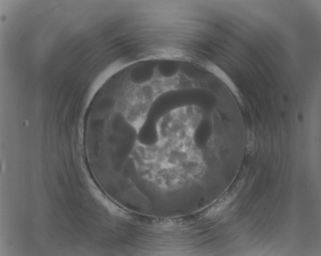 X0000068771099200605011020