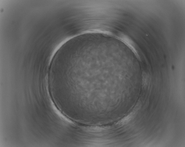 X0000068771100200605011020