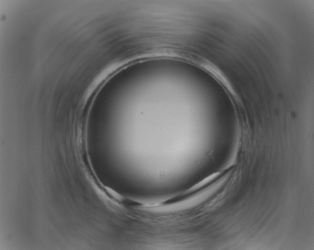 X0000068771101200605011020