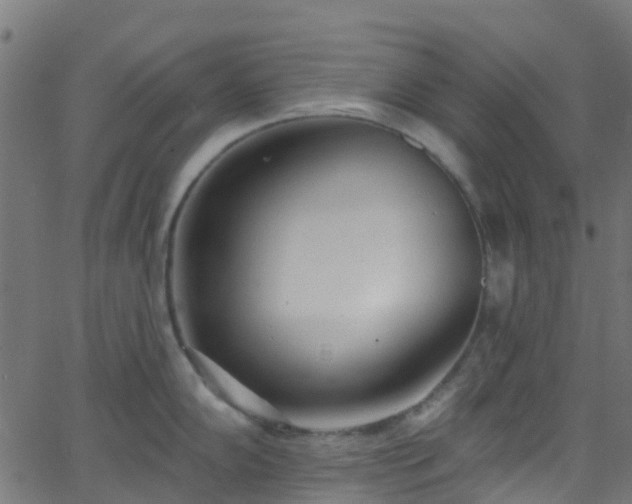 X0000068771102200605011020