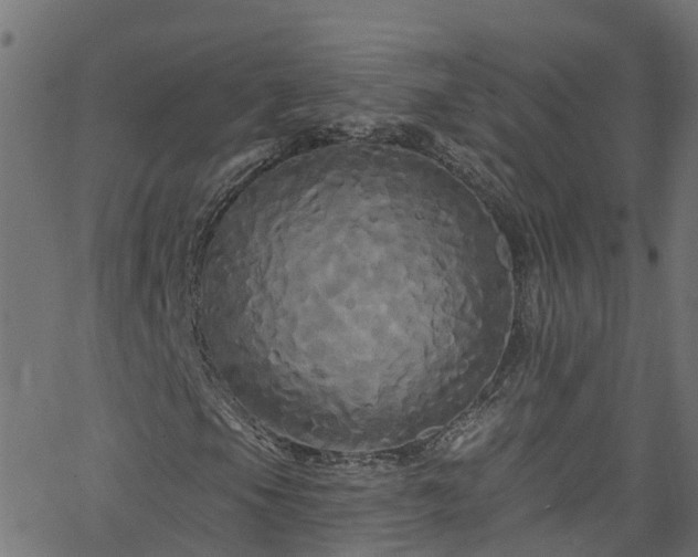 X0000068771105200605011020