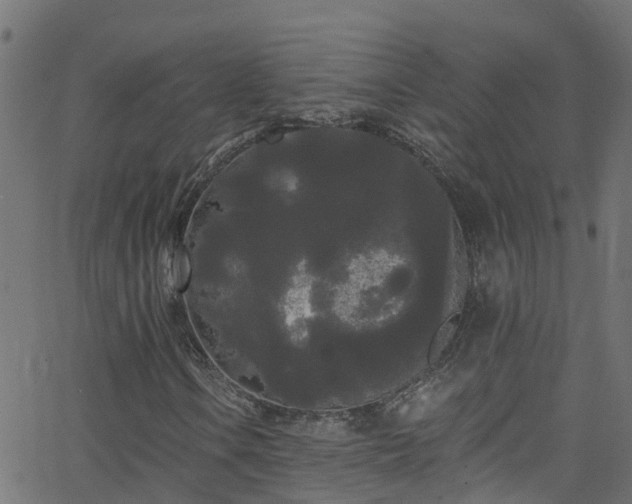 X0000068771106200605011020