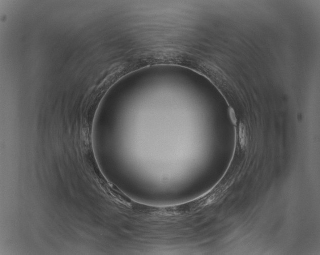 X0000068771107200605011020