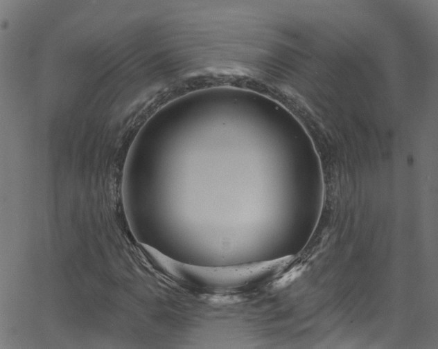 X0000068771110200605011020