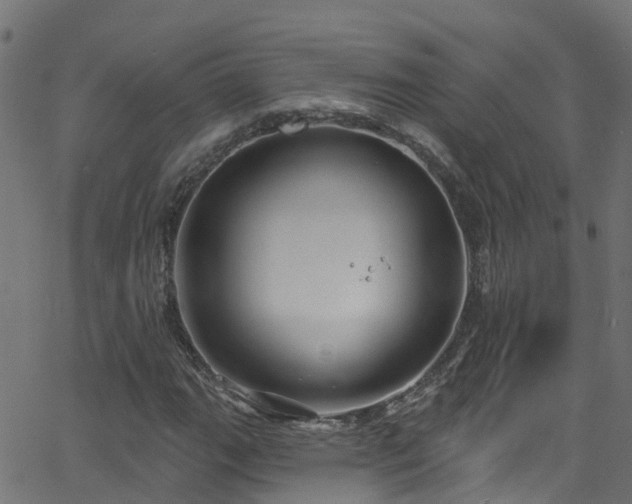 X0000068771111200605011020