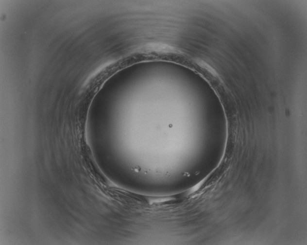 X0000068771112200605011020