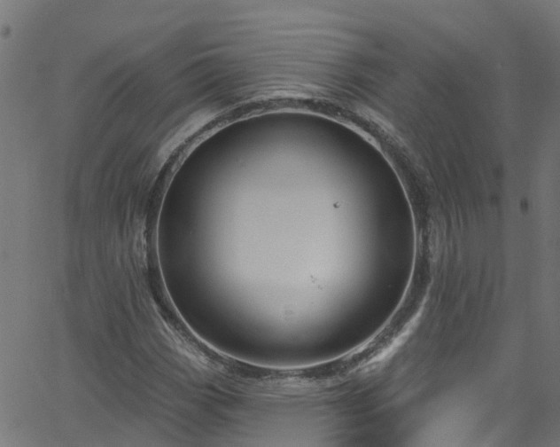 X0000068771113200605011020