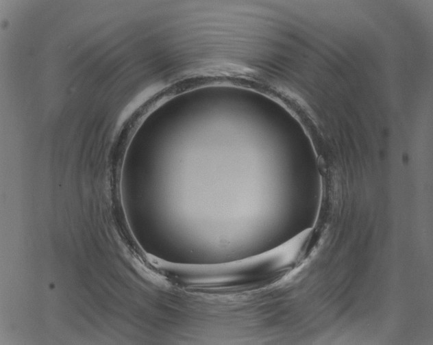 X0000068771114200605011020