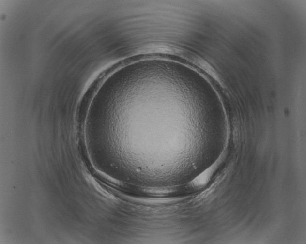 X0000068771116200605011020