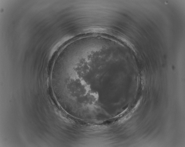 X0000068771117200605011020