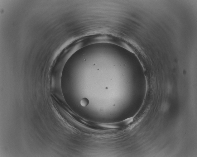 X0000068771118200605011020