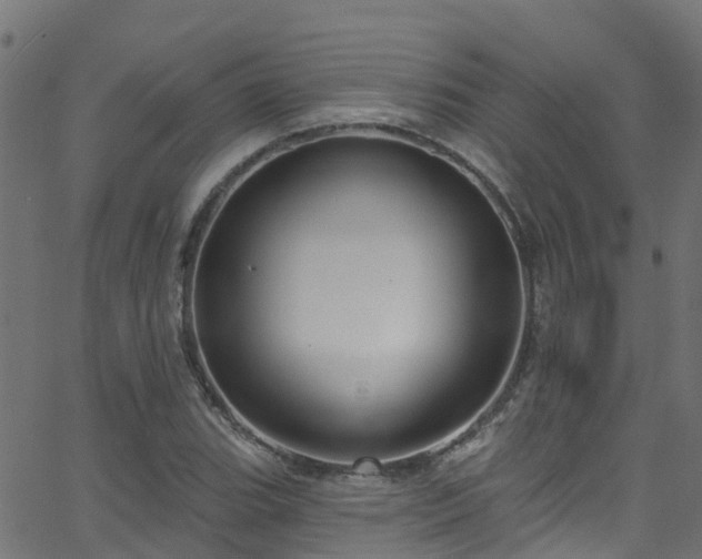 X0000068771119200605011020