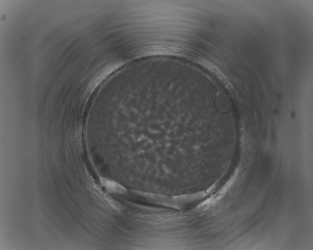 X0000068771121200605011020