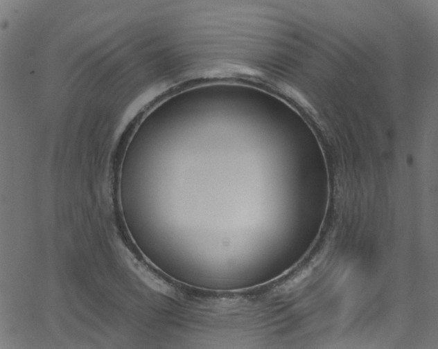 X0000068771122200605011020