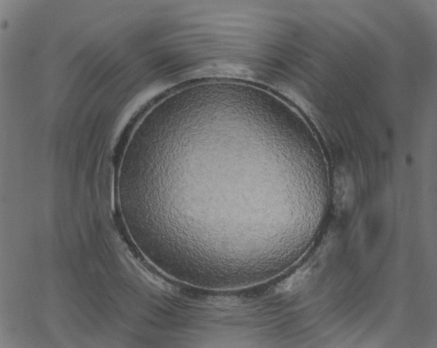 X0000068771123200605011020