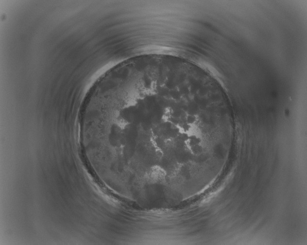 X0000068771125200605011020