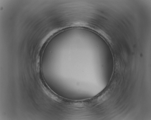 X0000068771126200605011020