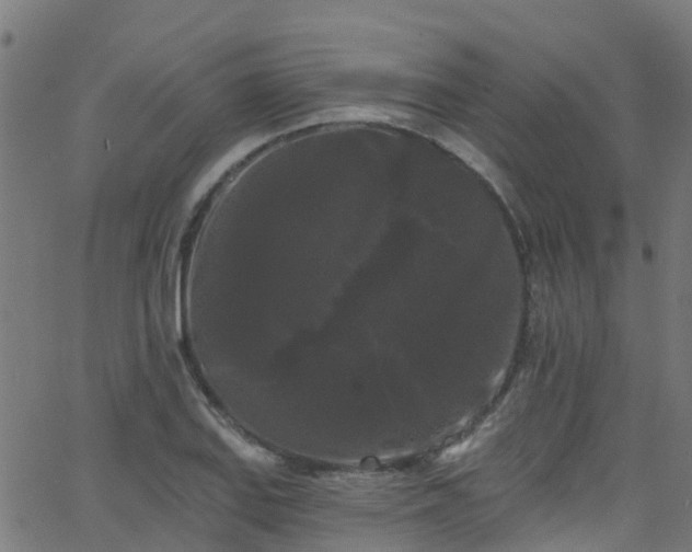 X0000068771127200605011020