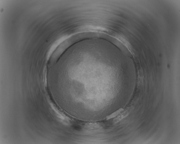 X0000068771128200605011020