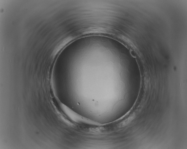 X0000068771129200605011020