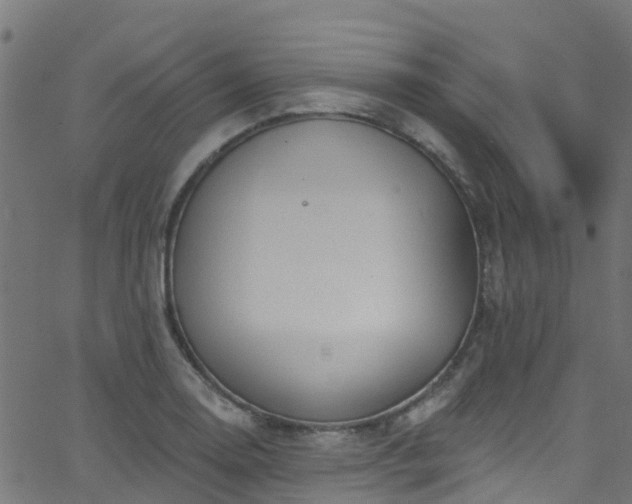 X0000068771130200605011020