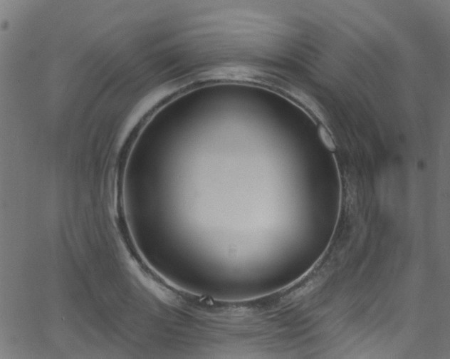 X0000068771131200605011020