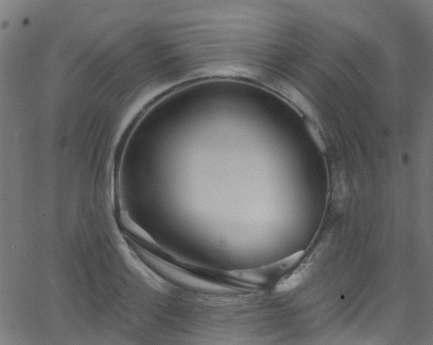 X0000068771132200605011020