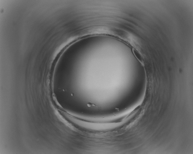 X0000068771134200605011020