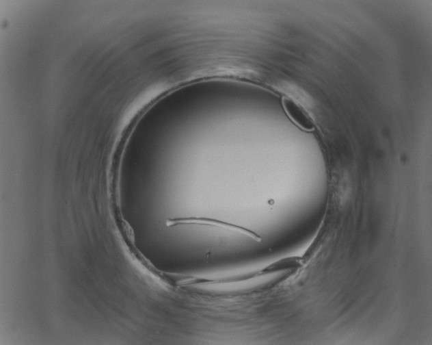 X0000068771135200605011020