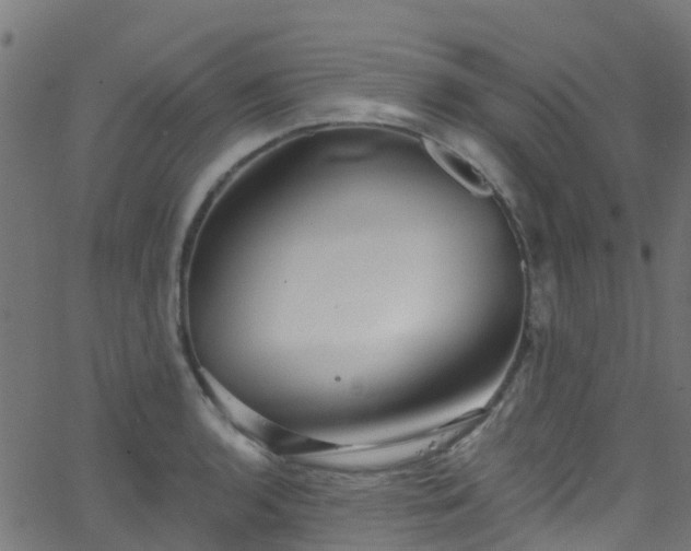 X0000068771136200605011020