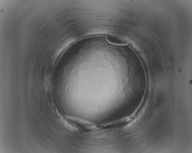 X0000068771137200605011020