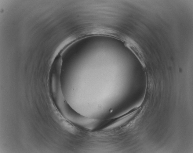 X0000068771138200605011020