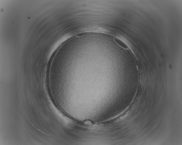 X0000068771139200605011020