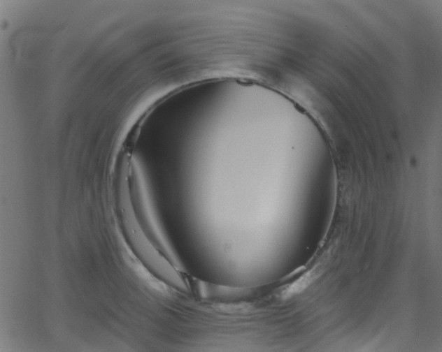 X0000068771140200605011020