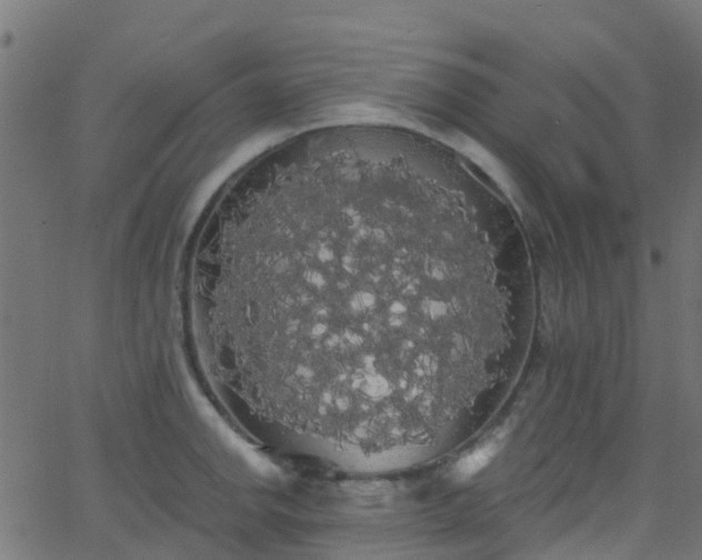 X0000068771142200605011020