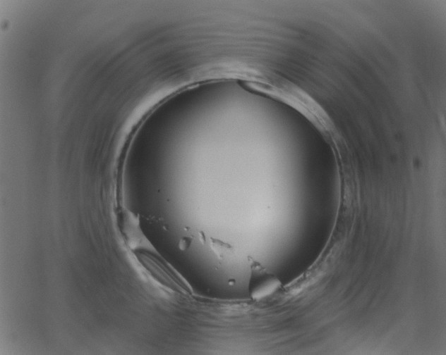 X0000068771144200605011020