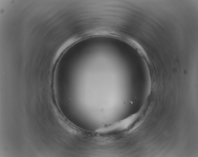 X0000068771146200605011020